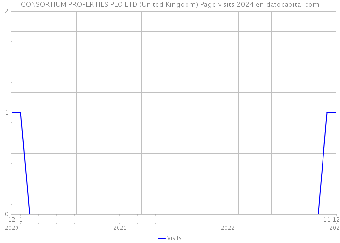 CONSORTIUM PROPERTIES PLO LTD (United Kingdom) Page visits 2024 