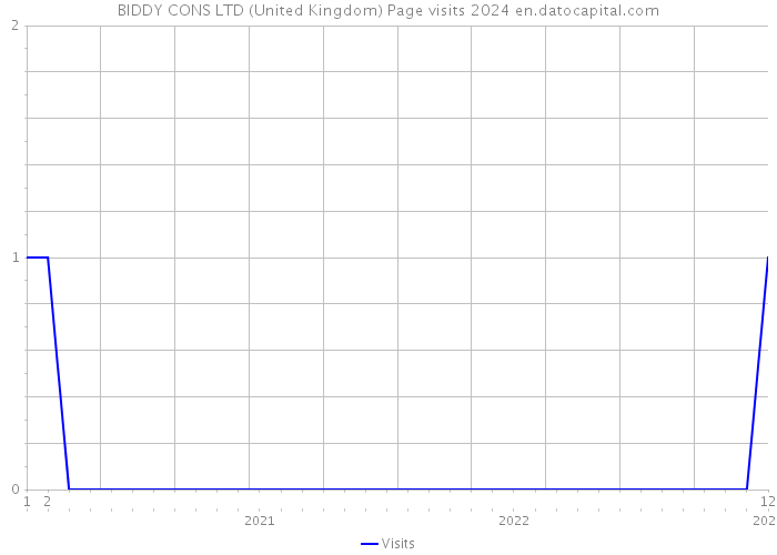 BIDDY CONS LTD (United Kingdom) Page visits 2024 