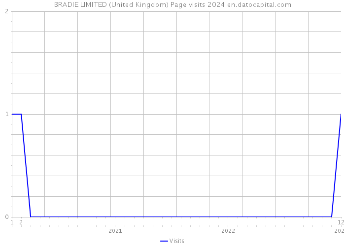 BRADIE LIMITED (United Kingdom) Page visits 2024 