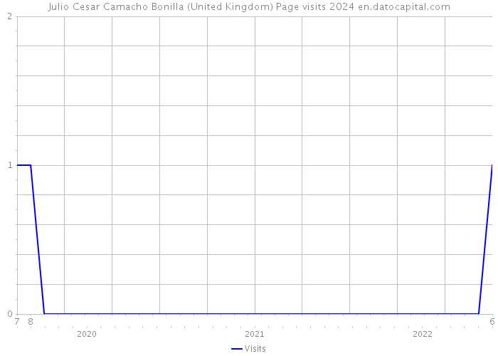 Julio Cesar Camacho Bonilla (United Kingdom) Page visits 2024 