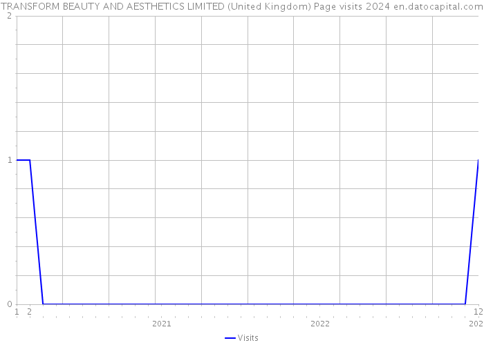 TRANSFORM BEAUTY AND AESTHETICS LIMITED (United Kingdom) Page visits 2024 