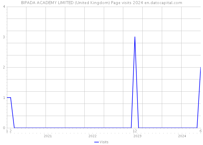 BIPADA ACADEMY LIMITED (United Kingdom) Page visits 2024 