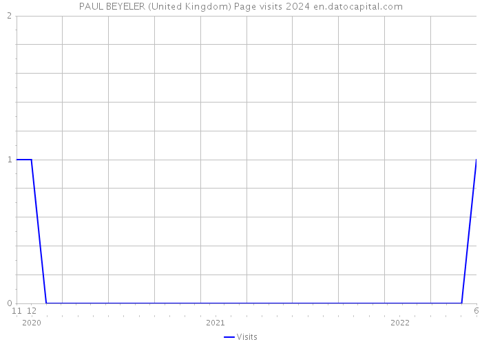 PAUL BEYELER (United Kingdom) Page visits 2024 
