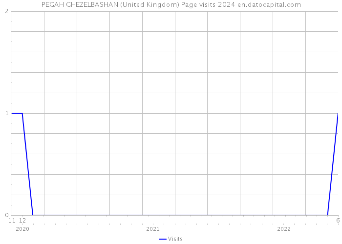 PEGAH GHEZELBASHAN (United Kingdom) Page visits 2024 