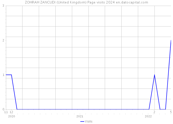 ZOHRAH ZANCUDI (United Kingdom) Page visits 2024 