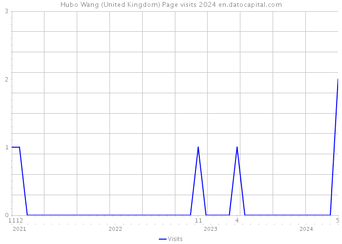 Hubo Wang (United Kingdom) Page visits 2024 