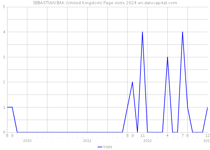 SEBASTIAN BAK (United Kingdom) Page visits 2024 