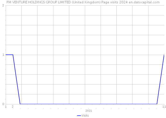FM VENTURE HOLDINGS GROUP LIMITED (United Kingdom) Page visits 2024 