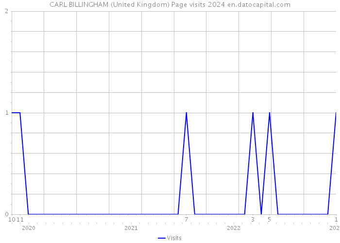 CARL BILLINGHAM (United Kingdom) Page visits 2024 