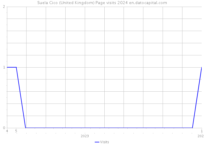 Suela Cico (United Kingdom) Page visits 2024 
