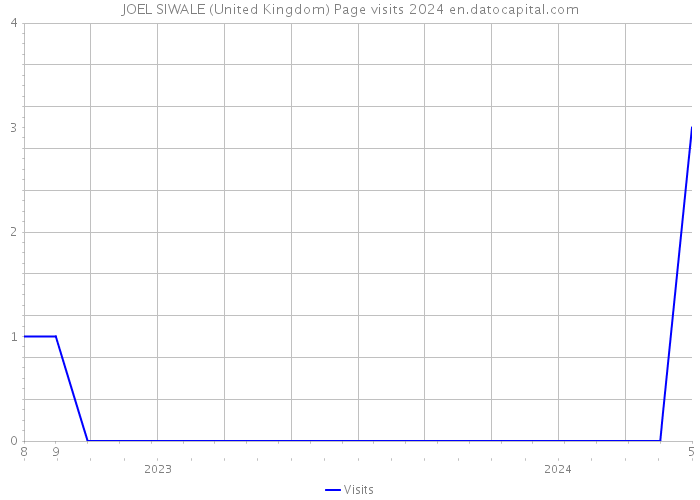 JOEL SIWALE (United Kingdom) Page visits 2024 