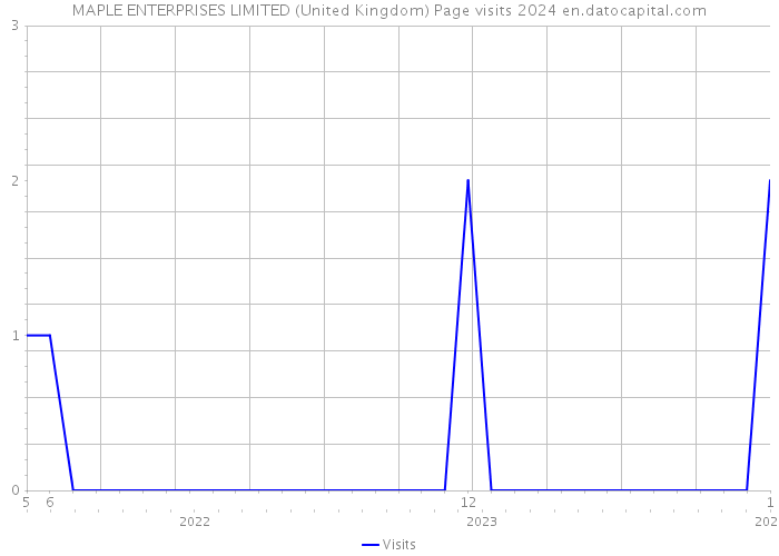 MAPLE ENTERPRISES LIMITED (United Kingdom) Page visits 2024 