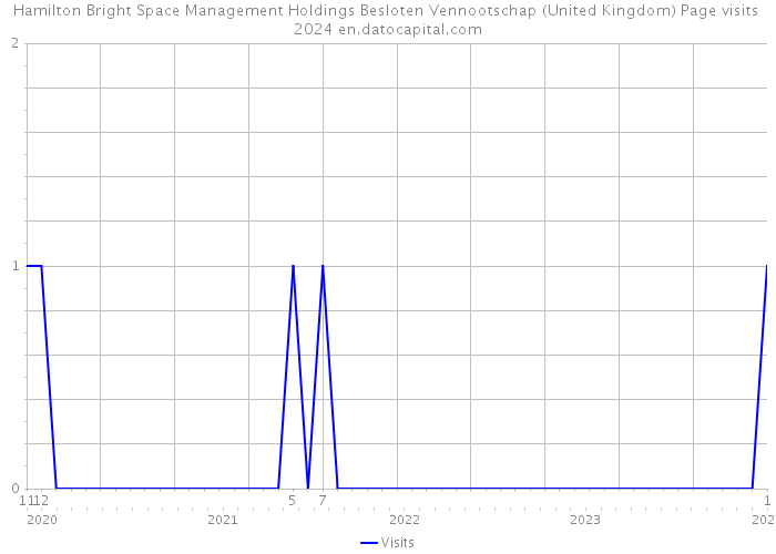 Hamilton Bright Space Management Holdings Besloten Vennootschap (United Kingdom) Page visits 2024 