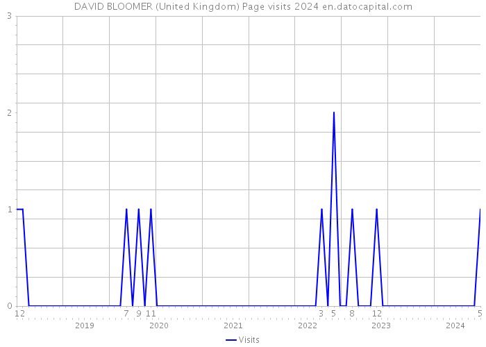 DAVID BLOOMER (United Kingdom) Page visits 2024 