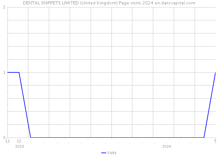 DENTAL SNIPPETS LIMITED (United Kingdom) Page visits 2024 