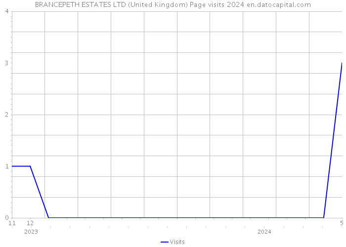 BRANCEPETH ESTATES LTD (United Kingdom) Page visits 2024 