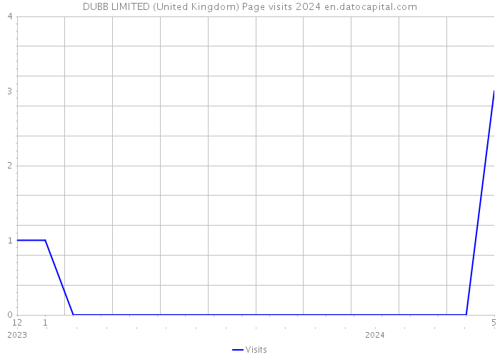 DUBB LIMITED (United Kingdom) Page visits 2024 