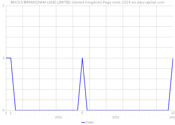 BRICKS BIRMINGHAM LAND LIMITED (United Kingdom) Page visits 2024 