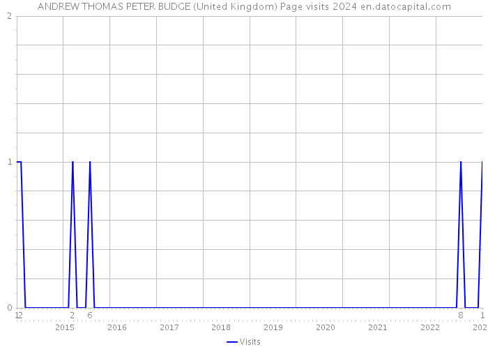 ANDREW THOMAS PETER BUDGE (United Kingdom) Page visits 2024 