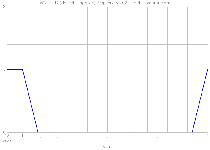 WNT LTD (United Kingdom) Page visits 2024 