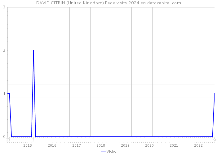 DAVID CITRIN (United Kingdom) Page visits 2024 