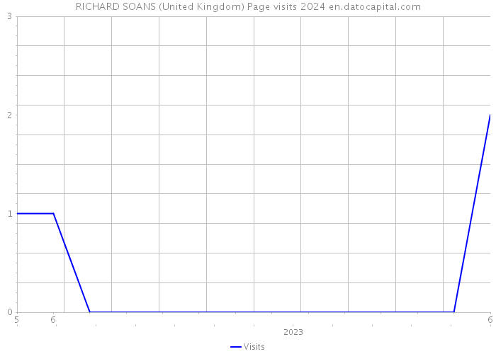 RICHARD SOANS (United Kingdom) Page visits 2024 