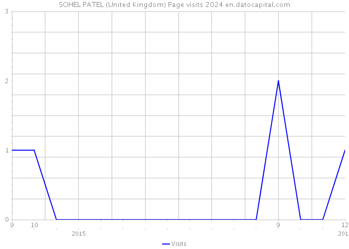 SOHEL PATEL (United Kingdom) Page visits 2024 