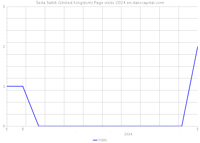 Seda Saltik (United Kingdom) Page visits 2024 