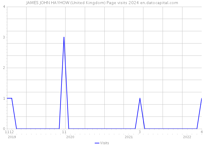 JAMES JOHN HAYHOW (United Kingdom) Page visits 2024 