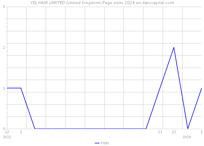YEL HAIR LIMITED (United Kingdom) Page visits 2024 