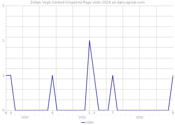 Zoltan Vegh (United Kingdom) Page visits 2024 