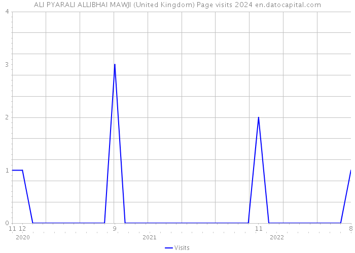 ALI PYARALI ALLIBHAI MAWJI (United Kingdom) Page visits 2024 