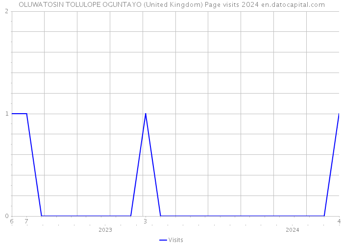 OLUWATOSIN TOLULOPE OGUNTAYO (United Kingdom) Page visits 2024 