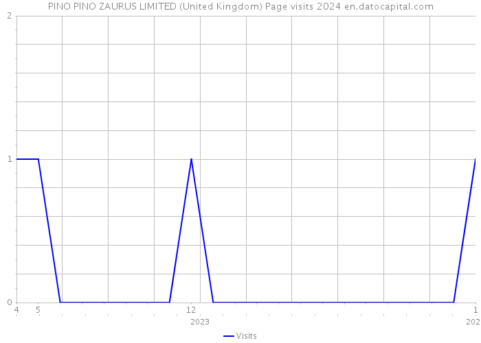 PINO PINO ZAURUS LIMITED (United Kingdom) Page visits 2024 