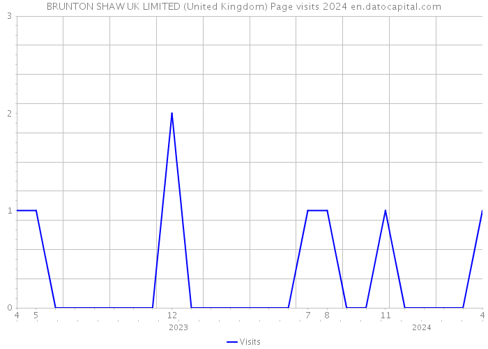 BRUNTON SHAW UK LIMITED (United Kingdom) Page visits 2024 