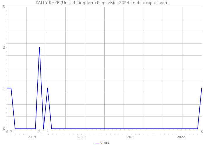 SALLY KAYE (United Kingdom) Page visits 2024 