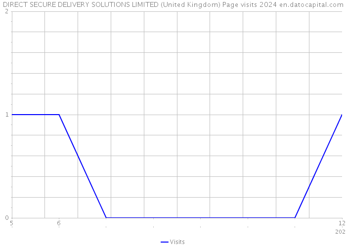DIRECT SECURE DELIVERY SOLUTIONS LIMITED (United Kingdom) Page visits 2024 