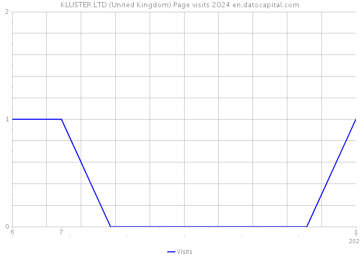 KLUSTER LTD (United Kingdom) Page visits 2024 