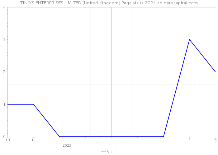 TINO'S ENTERPRISES LIMITED (United Kingdom) Page visits 2024 