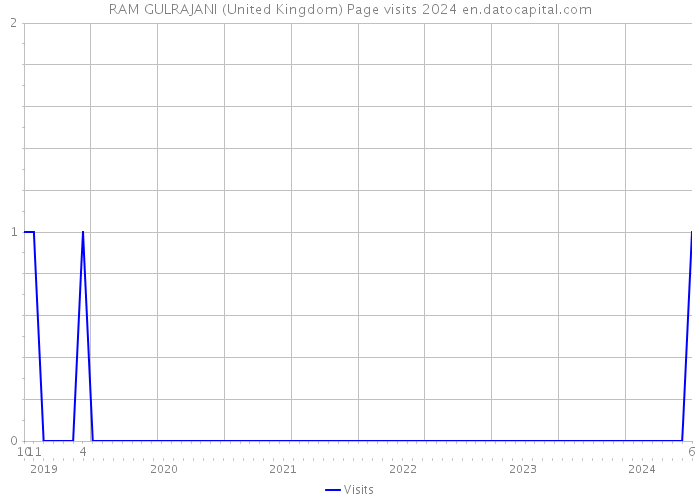 RAM GULRAJANI (United Kingdom) Page visits 2024 