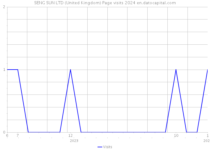 SENG SUN LTD (United Kingdom) Page visits 2024 