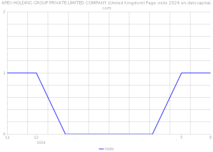 APEX HOLDING GROUP PRIVATE LIMITED COMPANY (United Kingdom) Page visits 2024 