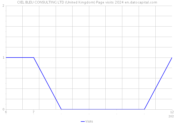 CIEL BLEU CONSULTING LTD (United Kingdom) Page visits 2024 