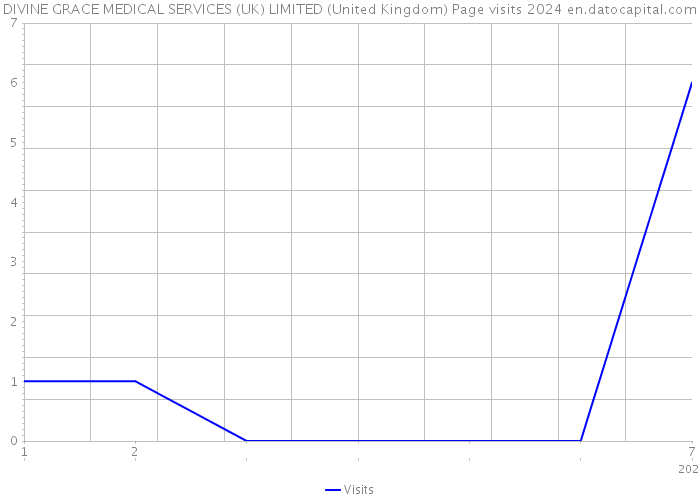 DIVINE GRACE MEDICAL SERVICES (UK) LIMITED (United Kingdom) Page visits 2024 