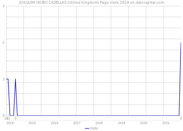JOAQUIM NIUBO CASELLAS (United Kingdom) Page visits 2024 