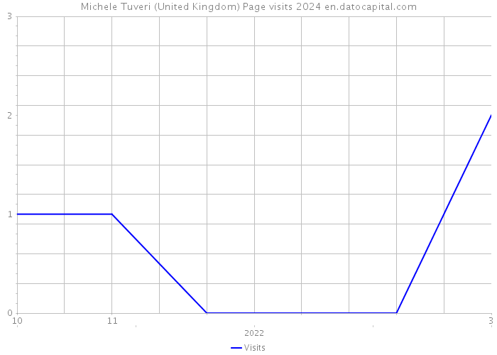 Michele Tuveri (United Kingdom) Page visits 2024 