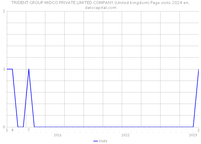 TRIDENT GROUP MIDCO PRIVATE LIMITED COMPANY (United Kingdom) Page visits 2024 