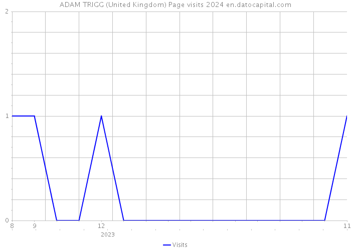 ADAM TRIGG (United Kingdom) Page visits 2024 