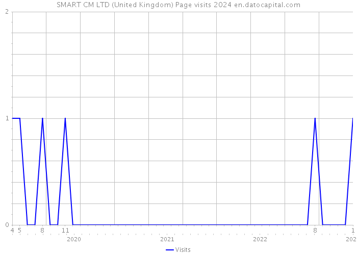 SMART CM LTD (United Kingdom) Page visits 2024 