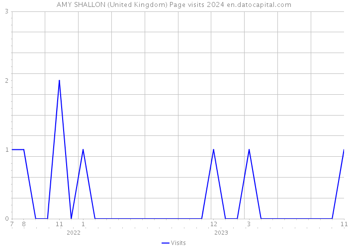 AMY SHALLON (United Kingdom) Page visits 2024 